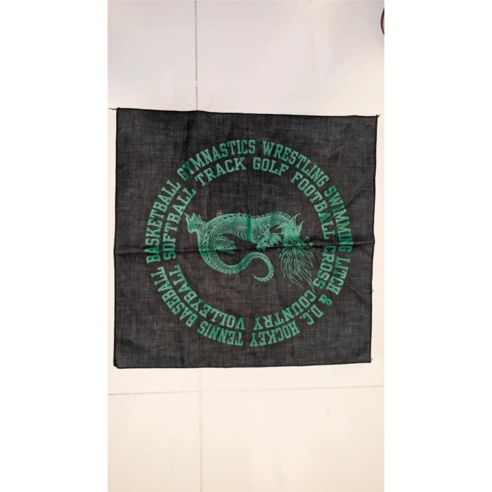 Dragons Litchfield MN Sports Bandana